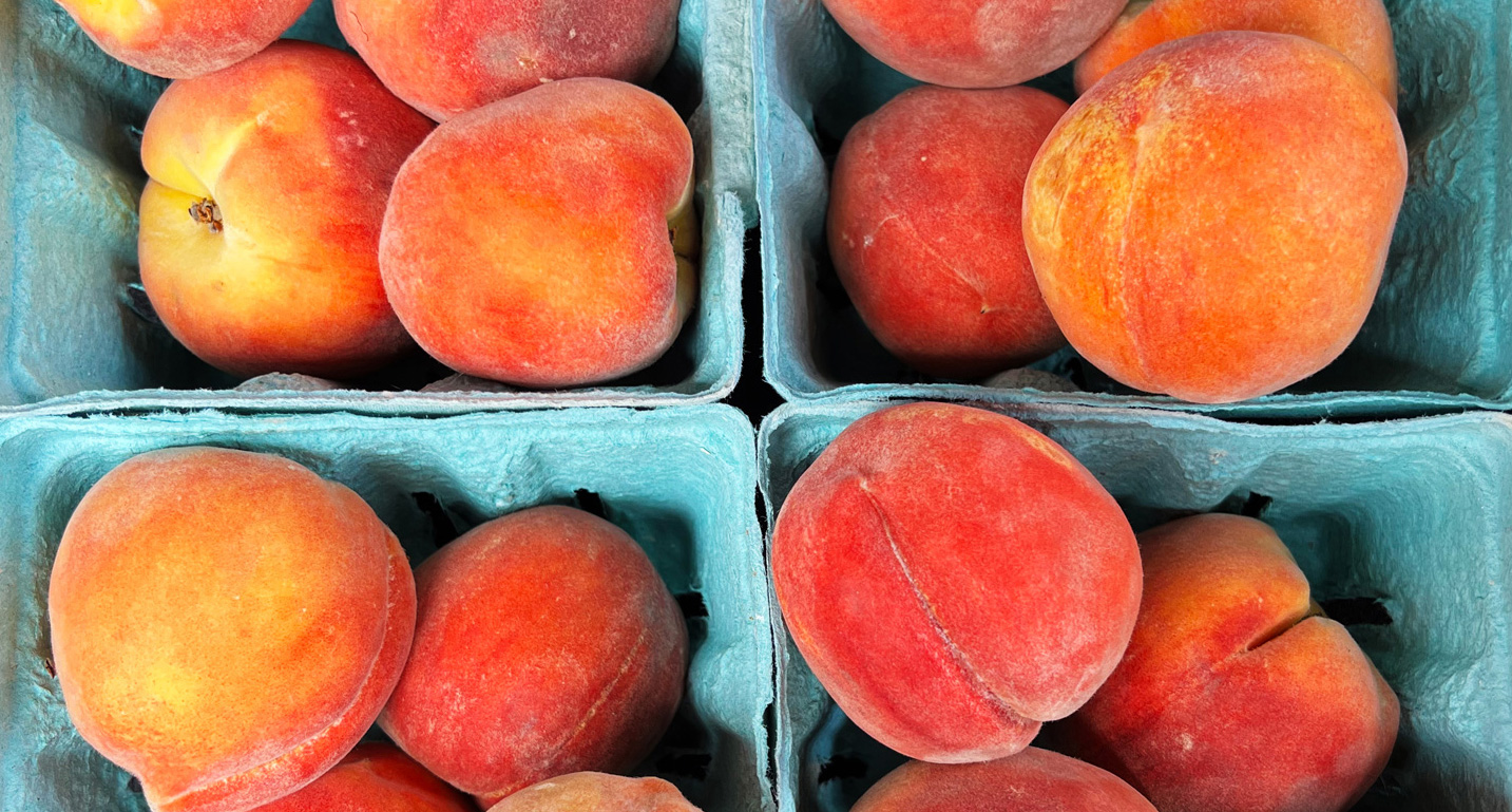 Palisade Peaches: Delicious Colorado History